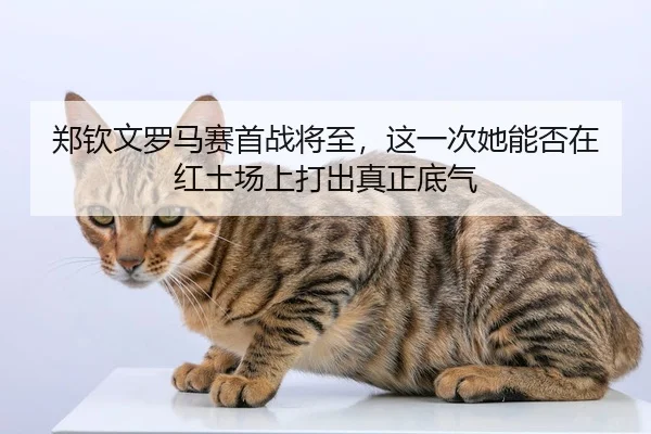 郑钦文罗马赛首战将至，这一次她能否在红土场上打出真正底气